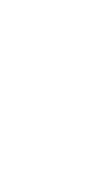 Dr. Riemer
